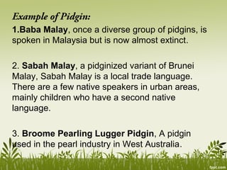 Meeting 13 language contact | PPT