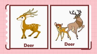 MEETING 2 - Singular, Plural, Irregular plural Nouns.pptx