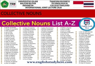 COLLECTIVE NOUNS
 