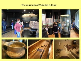 The museum of Vučedol culture
 