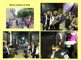 Wine cellars in Ilok
 
