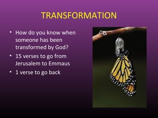 Meeting jesus - 8th May 2011 | PPT