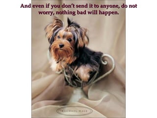 And even if you don’t send it to anyone, do notAnd even if you don’t send it to anyone, do not
worry, nothing bad will happen.worry, nothing bad will happen.
 