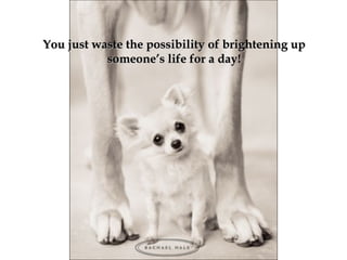You just waste the possibility of brightening upYou just waste the possibility of brightening up
someone’s life for a daysomeone’s life for a day!!
 