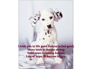 I wish you in life good fortune to feel goodI wish you in life good fortune to feel good;;
Many trials to remain strong;Many trials to remain strong;
Some tears to remain human;Some tears to remain human;
Lots of hope, to become happy.Lots of hope, to become happy.
 