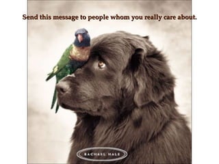 Send this message to people whom you really care about.Send this message to people whom you really care about.
 