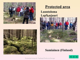 Protected area Sumiainen (Finland) Luontoloma Lepänjuuri 