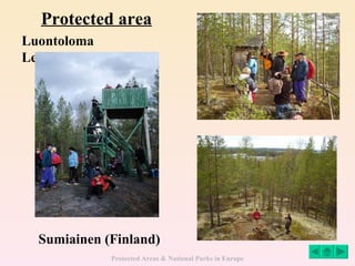 Protected area Sumiainen (Finland) Luontoloma Lepänjuuri 