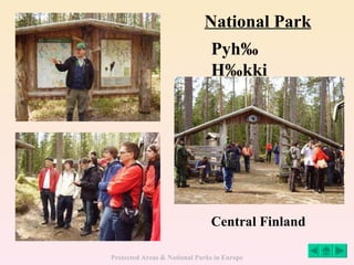 National Park Central Finland Pyhä Häkki 
