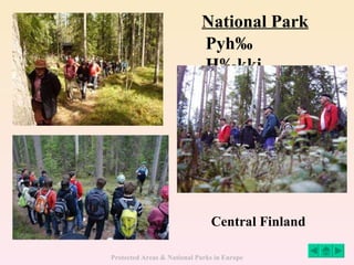 National Park Central Finland Pyhä Häkki 