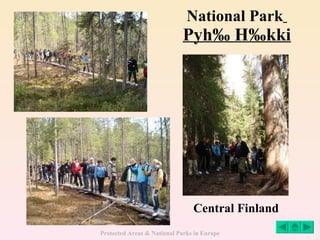 National Park   Pyhä Häkki Central Finland 