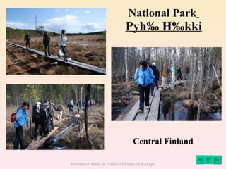 National Park   Pyhä Häkki Central Finland 