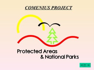COMENIUS PROJECT 