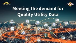 Meeting the demand for
Quality Utility Data
 