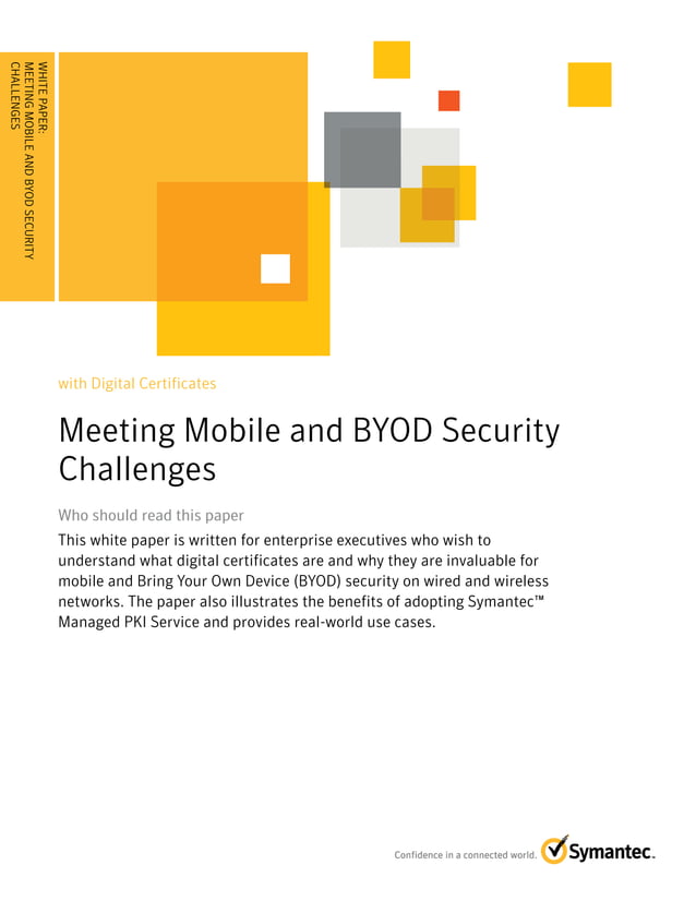 Meeting Mobile and BYOD Security Challenges PDF