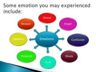 Denial
Shock
Despair Anger
Guilt
Disbelief
ConfusionSadness Emotions
 