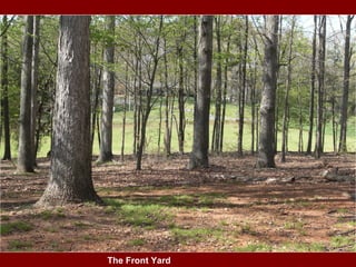 The Front Yard 