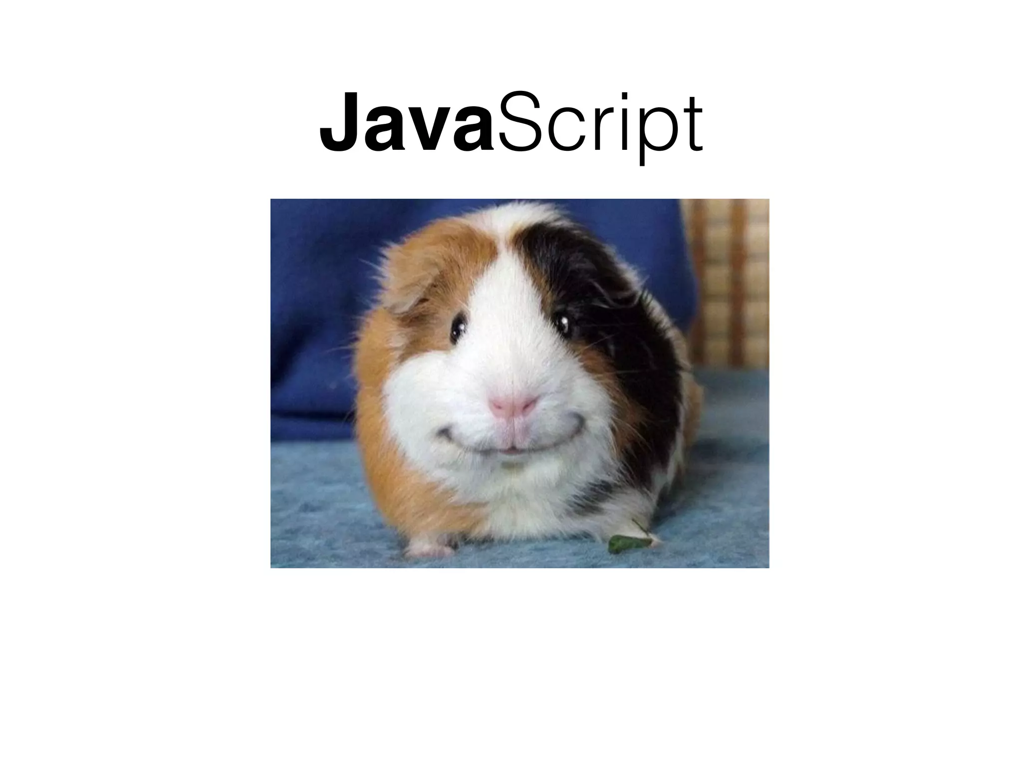 JavaScript
 