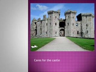 Cares for the castle
 