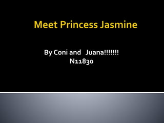 By Coni and Juana!!!!!!!
N11830
 