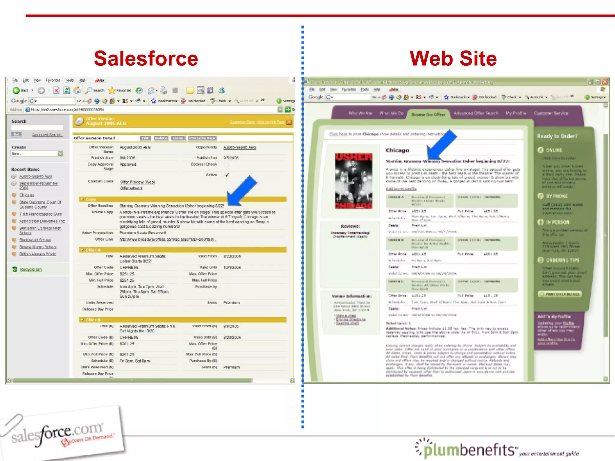 Salesforce Web Site 
