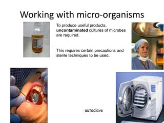 autoclaveWorking with micro-organismsTo produce useful products, uncontaminated cultures of microbes are required.This requires certain precautions and sterile techniques to be used.