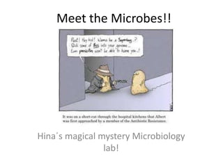 Meet the Microbes!! Hina´s magical mystery Microbiology lab! 