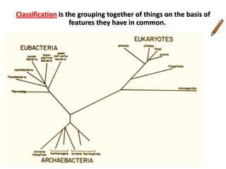 8Bin lined with plastic bag for safe disposal of used materials by autoclaving9Inoculated dish sealed with tapePrevents microbes getting in or outPrevents microbes getting out. Microbes killed