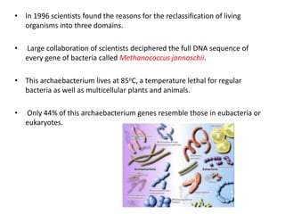 Now it´s your turn!Find a partnerDecide what aspects of bacterial culture you are going to investigatee.g. 	The difference between soap and disinfectant	Effectiveness of handwashing?	Bacteria from different parts of your body	Effect of chemicals on bacterial growth	Anything else you can think of!Prepare your work surface and agar plateInnoculate!Seal your petri dish and don´t forget to label it with your names and the dateRe-sterilise your work surfaceWash your hands!