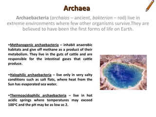 Large collaboration of scientists deciphered the full DNA sequence of every gene of bacteria called Methanococcusjannaschii. 