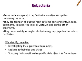 Classification of BacteriaArchaebacteria: extremistsEubacteria: HeterotrophsPhotosynthetic autotrophsChemosynthetic autotrophs