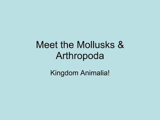 Meet the Mollusks & Arthropoda Kingdom Animalia! 