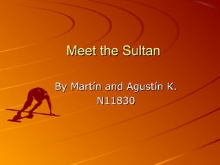 Meet the SultanMeet the Sultan
By Martín and Agustín K.By Martín and Agustín K.
N11830N11830
 