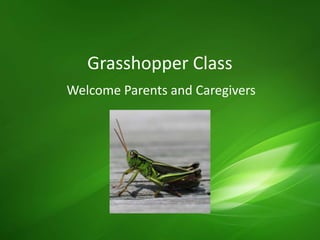 Grasshopper Class
Welcome Parents and Caregivers
 