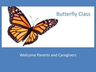 Welcome Parents and Caregivers
Butterfly Class
 