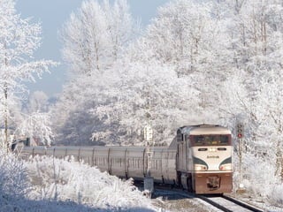 Meet the train~nice!!