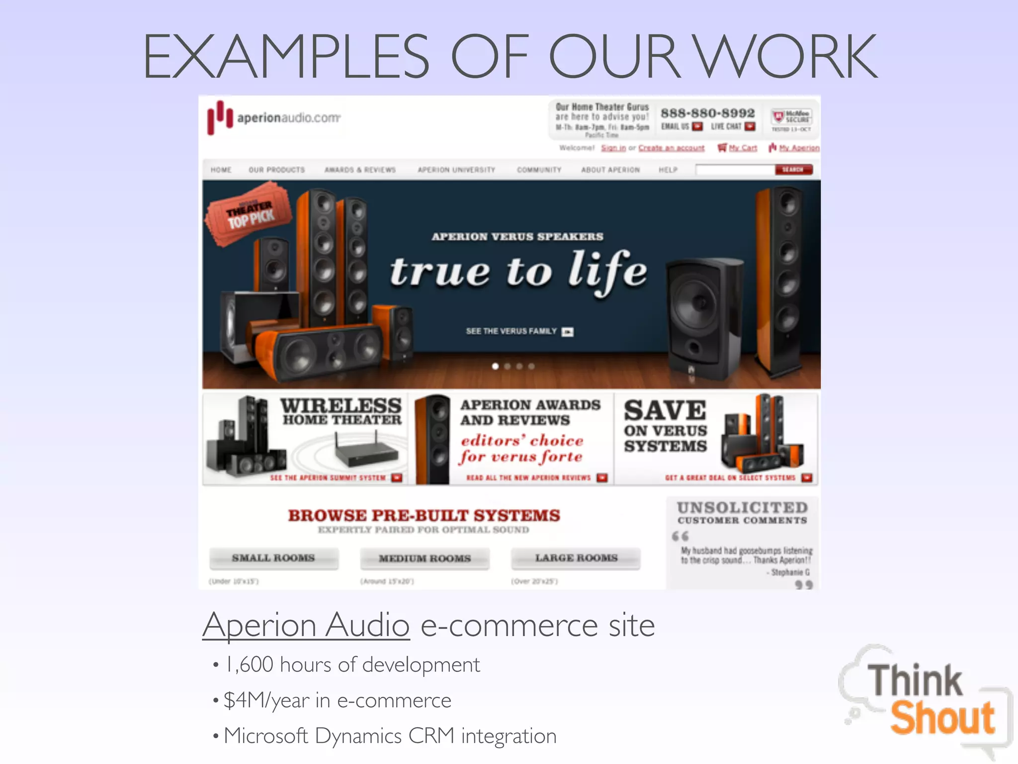 EXAMPLES OF OUR WORK




 Aperion Audio e-commerce site
 • 1,600 hours of development
 • $4M/year in e-commerce
 • Microsoft Dynamics CRM integration
 