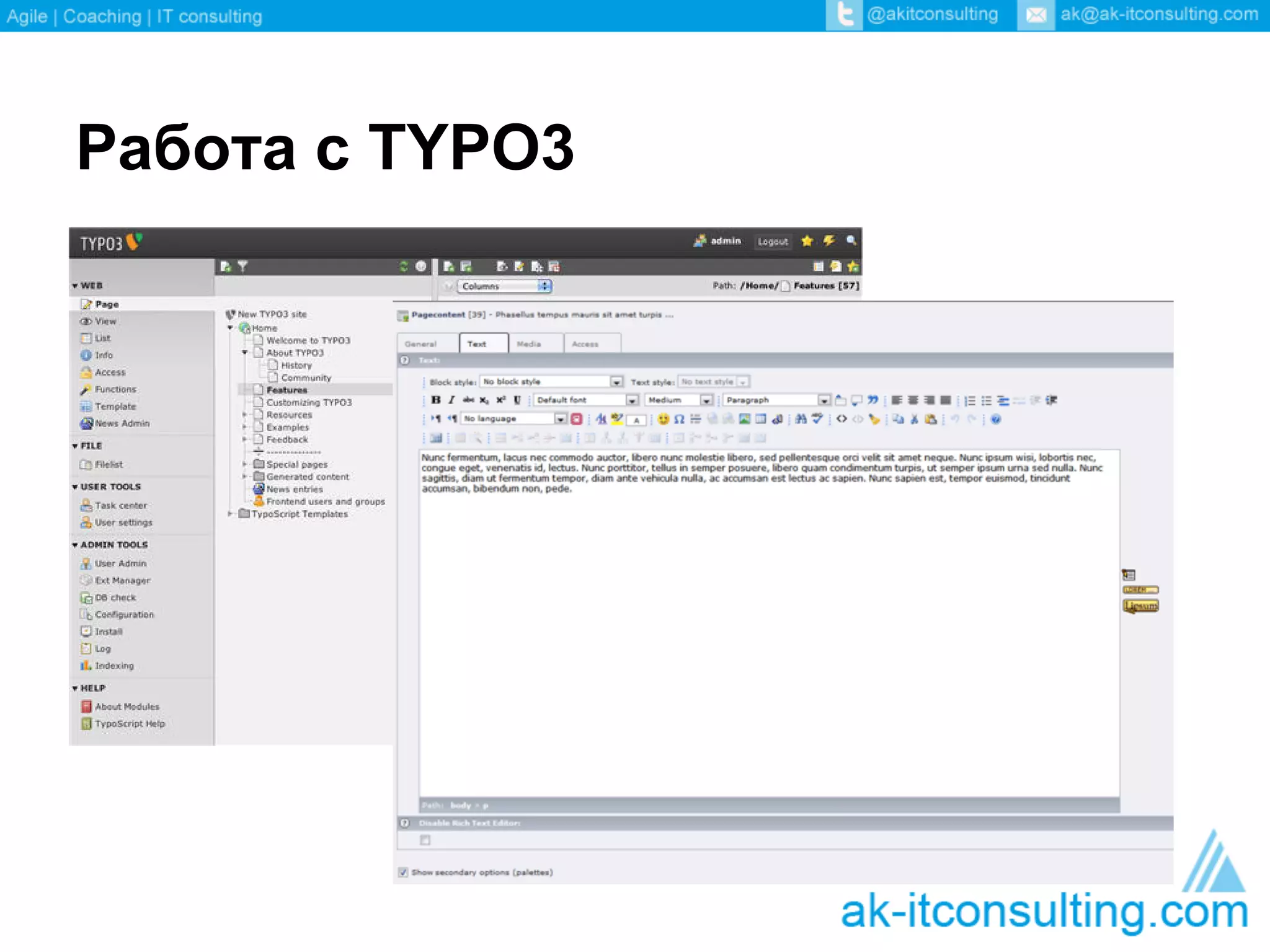 Работа с TYPO3
 