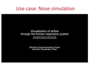 Use case: Nose simulation
 