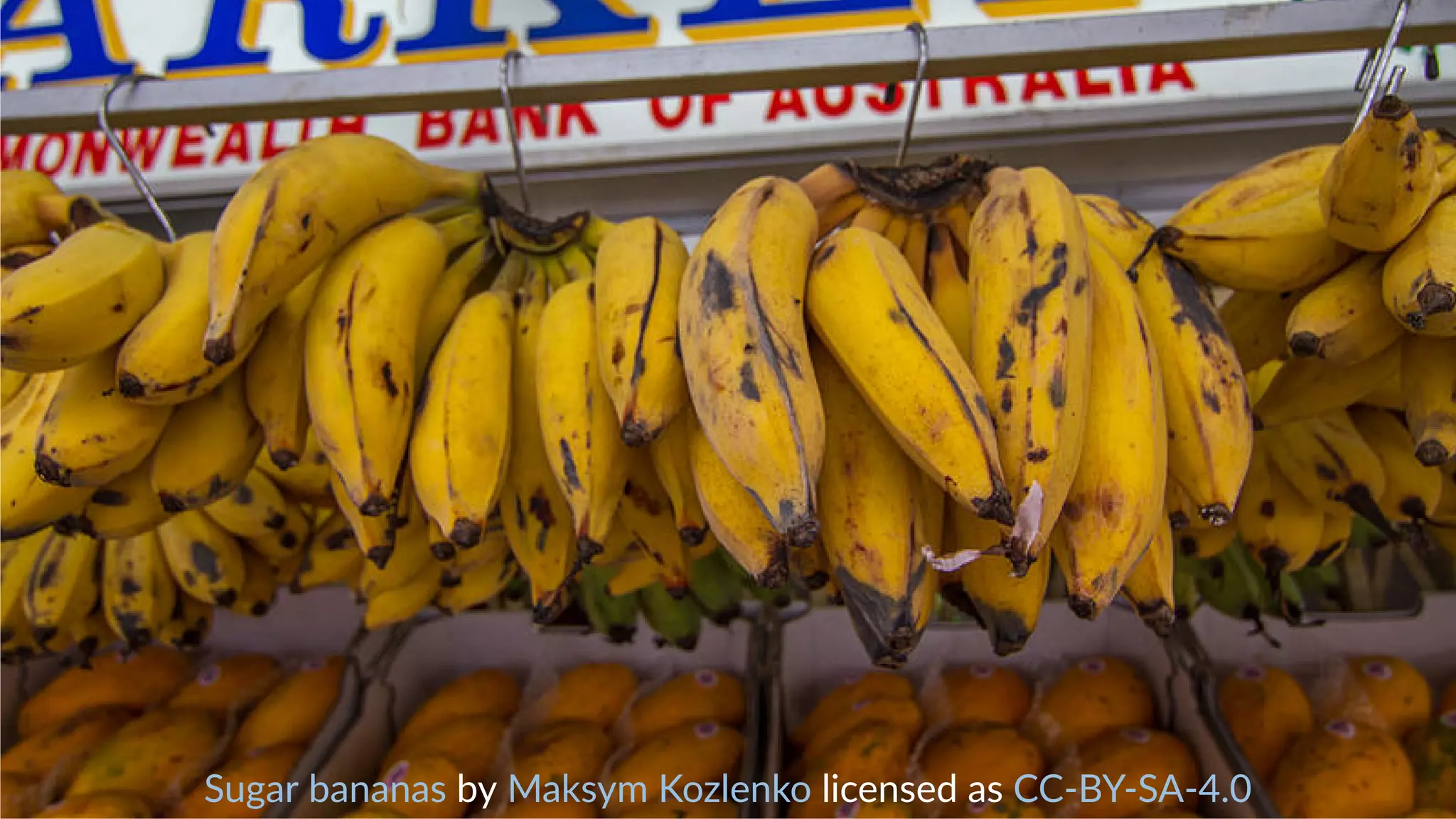 Sugar bananas by Maksym Kozlenko licensed as CC-BY-SA-4.0
 