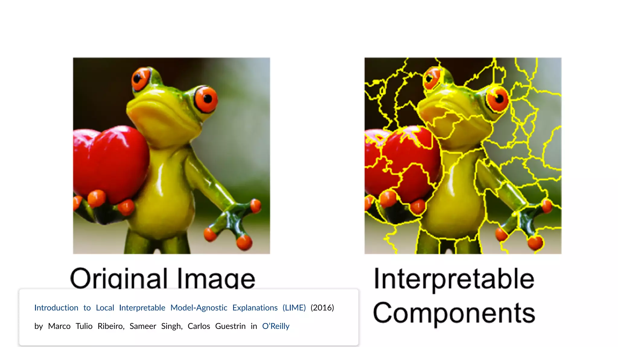 Introduction to Local Interpretable Model-Agnostic Explanations (LIME) (2016)
by Marco Tulio Ribeiro, Sameer Singh, Carlos Guestrin in O’Reilly
 