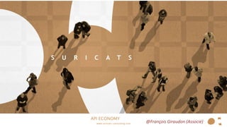 API ECONOMY
www.suricats-consulting.com
@François Giraudon (Associé)
 