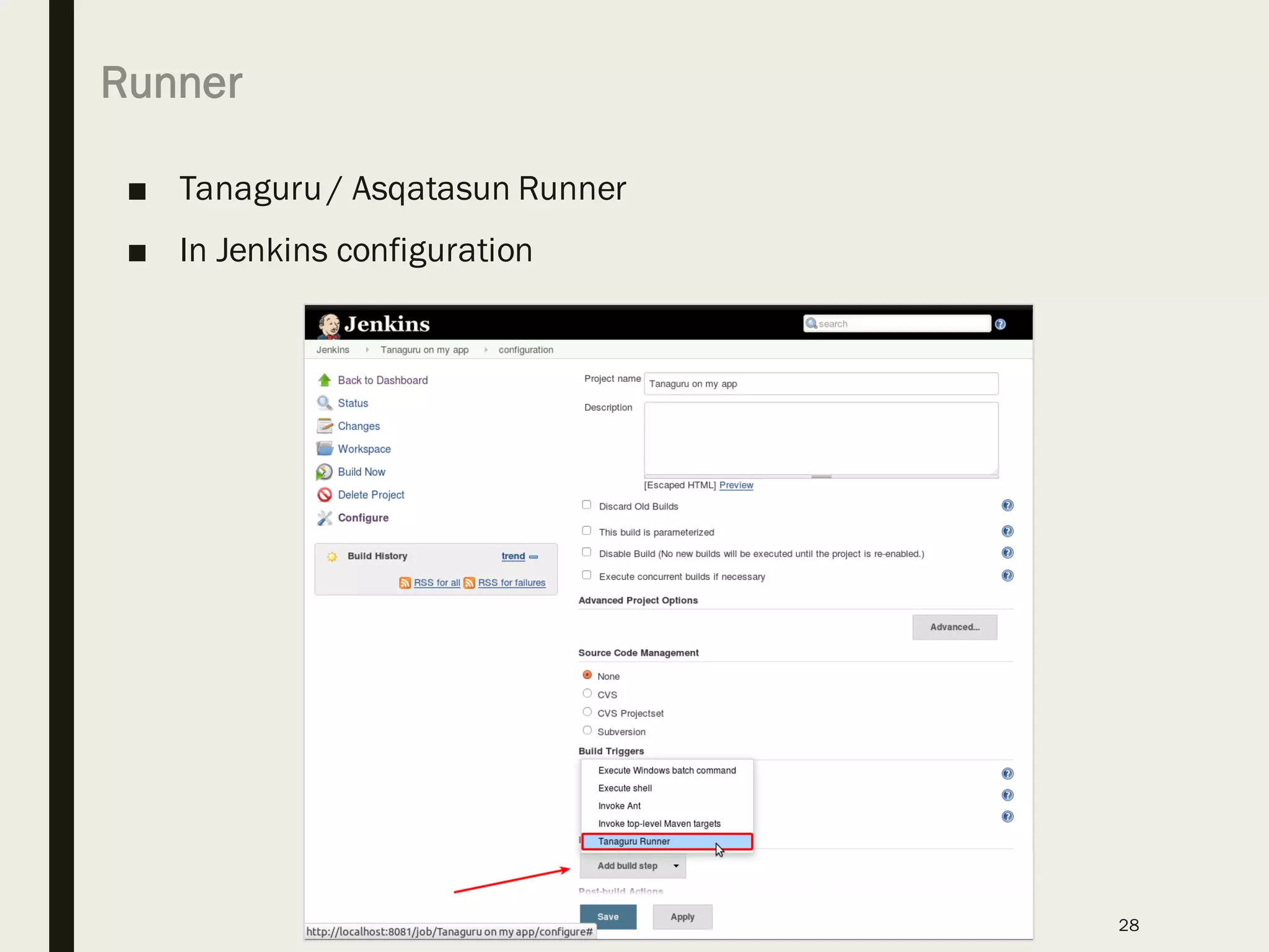 Runner
■ Tanaguru / Asqatasun Runner
■ In Jenkins configuration
28
 
