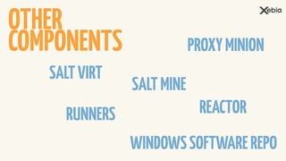 OTHER
COMPONENTS
SALTVIRT
SALTMINE
RUNNERS
PROXYMINION
WINDOWSSOFTWAREREPO
REACTOR
 