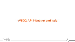 WSO2 API Manager and Istio
 