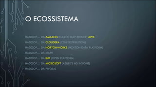 O ECOSSISTEMA
HADOOP… DA AMAZON (ELASTIC MAP REDUCE) AWS
HADOOP… DA CLOUDERA (CDH DISTRIBUTION)
HADOOP… DA HORTONWORKS (HORTON DATA PLATFORM)
HADOOP… DA MAPR
HADOOP… DA IBM (OPEN PLATFORM)
HADOOP… DA MICROSOFT (AZURE’S HD INSIGHT)
HADOOP… DA PIVOTAL
 