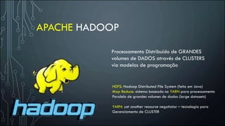 APACHE HADOOP
Processamento Distribuído de GRANDES
volumes de DADOS através de CLUSTERS
via modelos de programação
HDFS: Hadoop Distributed File System (feito em Java)
Map Reduce: sistema baseado no YARN para processamento
Paralelo de grandes volumes de dados (large datasets)
YARN: yet another resource negotiator – tecnologia para
Gerenciamento de CLUSTER
 