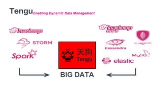 BIG DATA
Tengu
天狗
Enabling Dynamic Data ManagementTengu
 