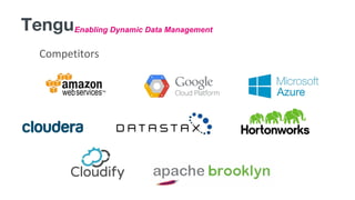 Enabling Dynamic Data ManagementTengu
Competitors
 
