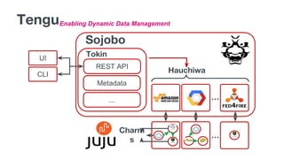 Enabling Dynamic Data ManagementTengu
Sojobo
Tokin
Hauchiwa
…
REST API
Metadata
...
UI
CLI
…
Charm
s
 